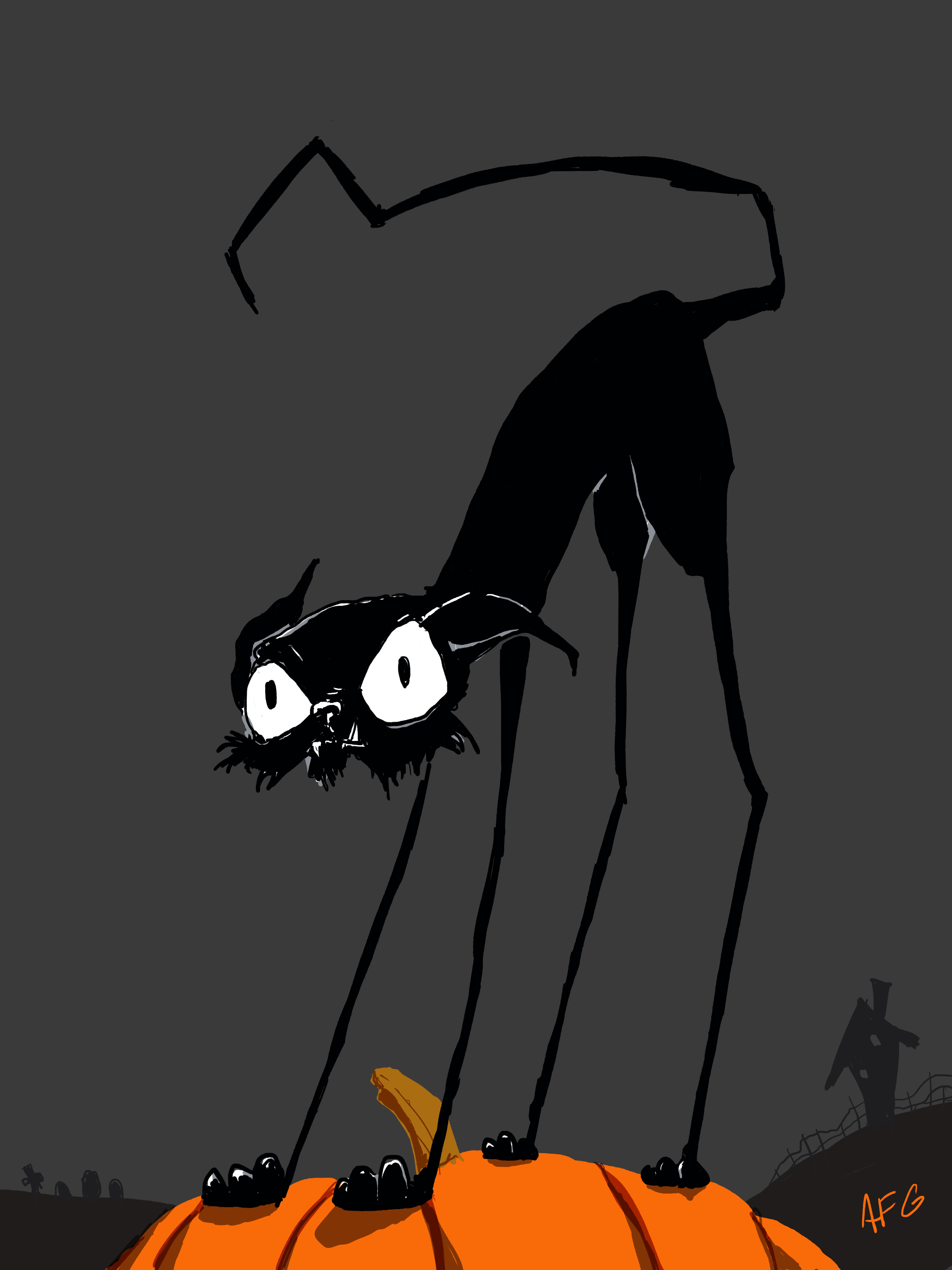 27